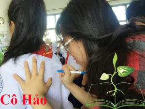 Cô Võ Huỳnh Ngọc Hảo